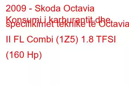 2009 - Skoda Octavia
Konsumi i karburantit dhe specifikimet teknike të Octavia II FL Combi (1Z5) 1.8 TFSI (160 Hp)