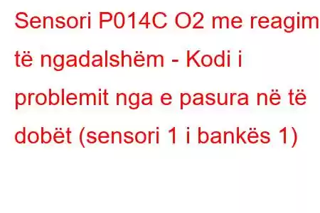 Sensori P014C O2 me reagim të ngadalshëm - Kodi i problemit nga e pasura në të dobët (sensori 1 i bankës 1)