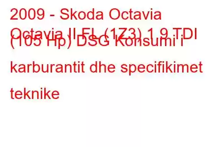 2009 - Skoda Octavia
Octavia II FL (1Z3) 1.9 TDI (105 Hp) DSG Konsumi i karburantit dhe specifikimet teknike