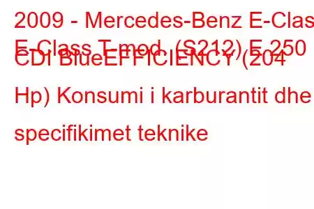 2009 - Mercedes-Benz E-Class
E-Class T-mod. (S212) E 250 CDI BlueEFFICIENCY (204 Hp) Konsumi i karburantit dhe specifikimet teknike