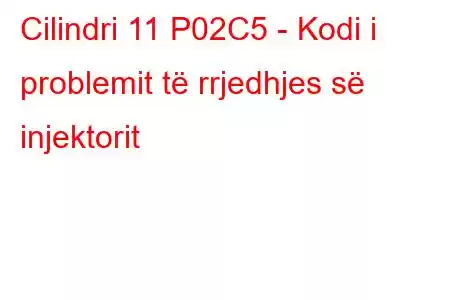 Cilindri 11 P02C5 - Kodi i problemit të rrjedhjes së injektorit