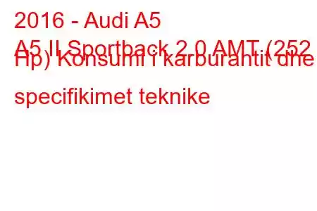 2016 - Audi A5
A5 II Sportback 2.0 AMT (252 Hp) Konsumi i karburantit dhe specifikimet teknike