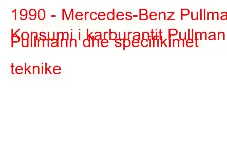 1990 - Mercedes-Benz Pullman
Konsumi i karburantit Pullmann Pullmann dhe specifikimet teknike