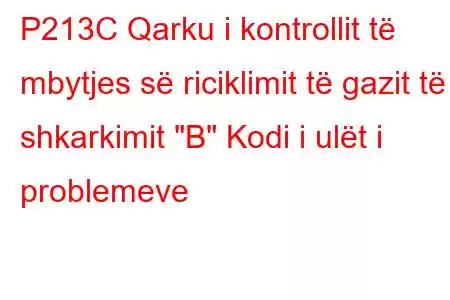 P213C Qarku i kontrollit të mbytjes së riciklimit të gazit të shkarkimit 