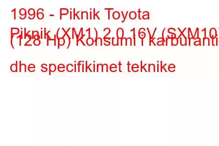 1996 - Piknik Toyota
Piknik (XM1) 2.0 16V (SXM10) (128 Hp) Konsumi i karburantit dhe specifikimet teknike