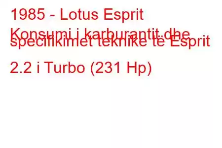 1985 - Lotus Esprit
Konsumi i karburantit dhe specifikimet teknike të Esprit 2.2 i Turbo (231 Hp)