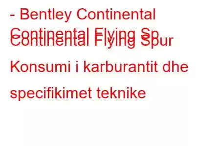 - Bentley Continental
Continental Flying Sp Continental Flying Spur Konsumi i karburantit dhe specifikimet teknike