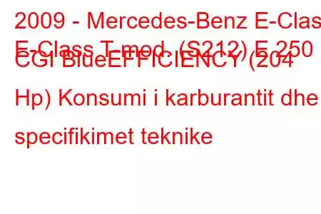 2009 - Mercedes-Benz E-Class
E-Class T-mod. (S212) E 250 CGI BlueEFFICIENCY (204 Hp) Konsumi i karburantit dhe specifikimet teknike